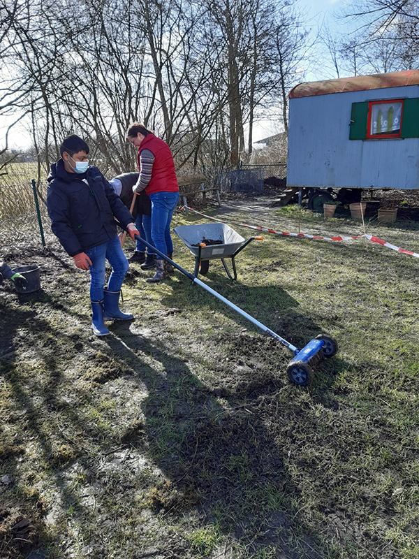 Anlegen der Wildblumenwiese