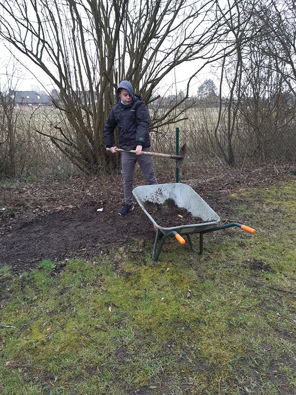 Anlegen der Wildblumenwiese