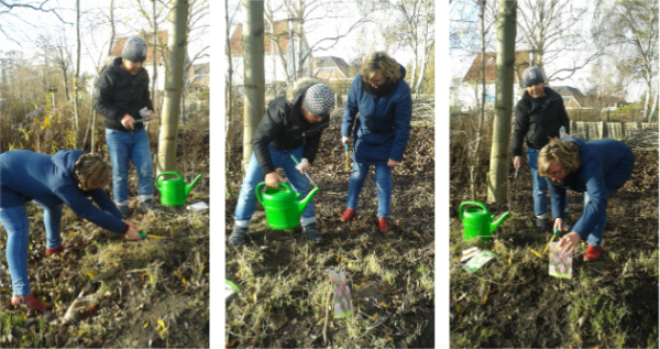 Blumenpflanzen für den Frühling