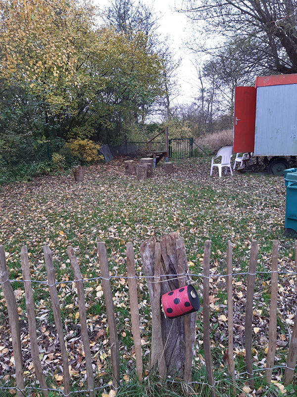 Wildblumenwiese der Schule am Meer