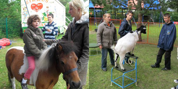 Übungen im Zirkus El Dorado